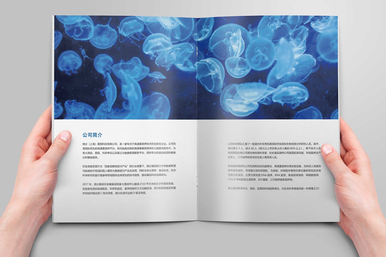 微生物产品画册