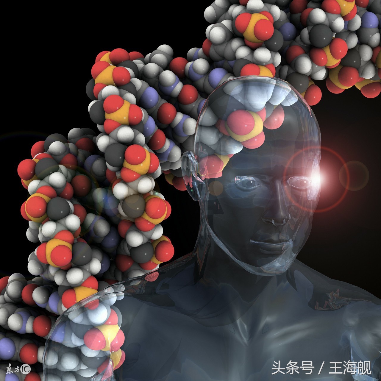 转基因食品真的有那么可怕吗?